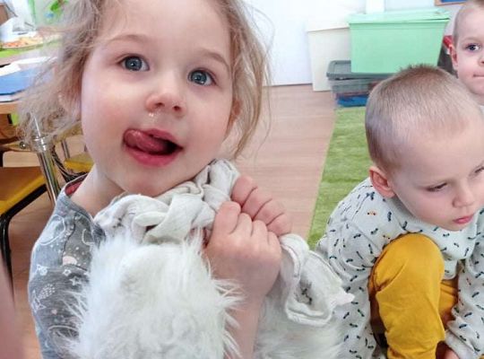 Gr. I Tłusty czwartek