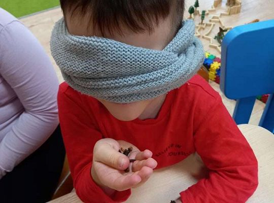 Gr. IV Realizacja programu "Gramy zmysłami"