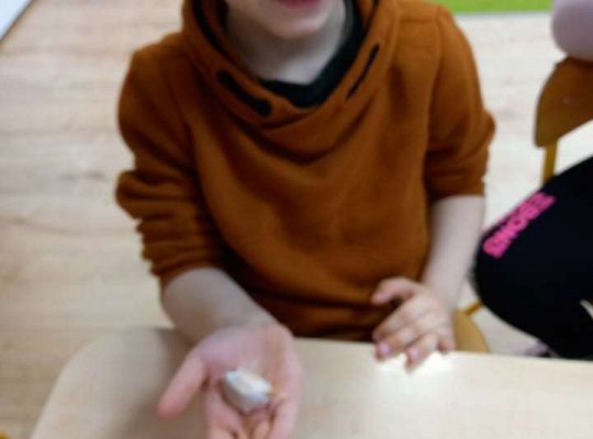 Gr. IV Realizacja programu "Gramy zmysłami"