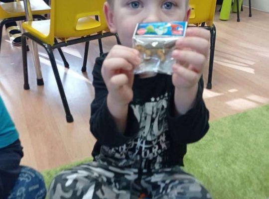 Gr. I "Dzień Dinozaura"