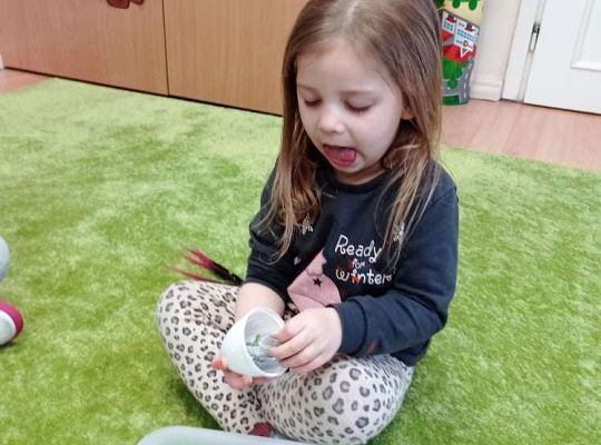 Gr. I "Dzień Dinozaura"