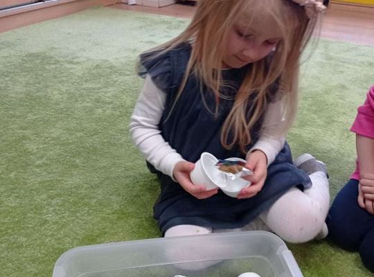 Gr. I "Dzień Dinozaura"