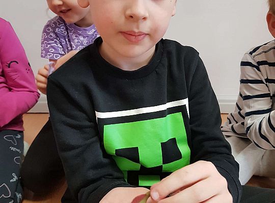 Gr. III- Dzień Dinozaura