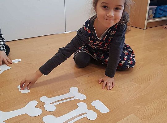 Gr. II Dzień Dinozaura