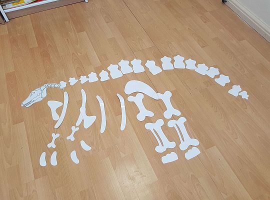 Gr. II Dzień Dinozaura