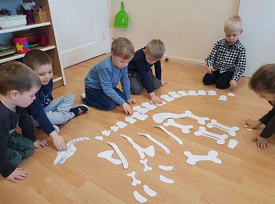 Gr. II Dzień Dinozaura