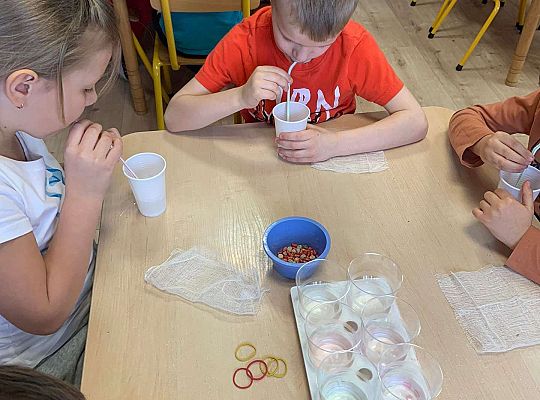 Gr. IV Zabawy badawcze - żywioły: woda, powietrze, ziemia. Poznajemy Ziemię zmysłami.