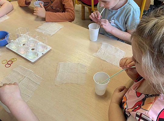 Gr. IV Zabawy badawcze - żywioły: woda, powietrze, ziemia. Poznajemy Ziemię zmysłami.