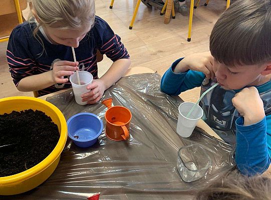 Gr. IV Zabawy badawcze - żywioły: woda, powietrze, ziemia. Poznajemy Ziemię zmysłami.