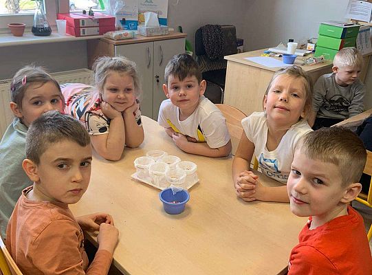 Gr. IV Zabawy badawcze - żywioły: woda, powietrze, ziemia. Poznajemy Ziemię zmysłami.