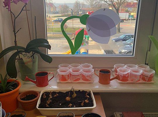 Gr. IV Zabawy badawcze - żywioły: woda, powietrze, ziemia. Poznajemy Ziemię zmysłami.