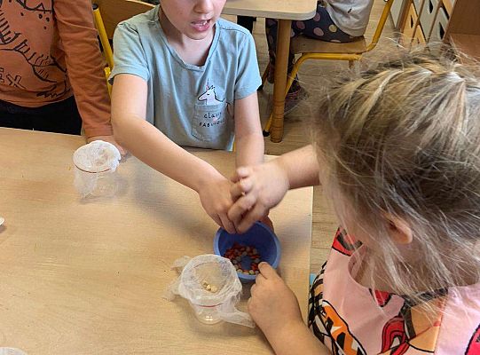 Gr. IV Zabawy badawcze - żywioły: woda, powietrze, ziemia. Poznajemy Ziemię zmysłami.