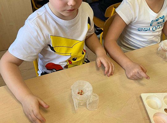 Gr. IV Zabawy badawcze - żywioły: woda, powietrze, ziemia. Poznajemy Ziemię zmysłami.