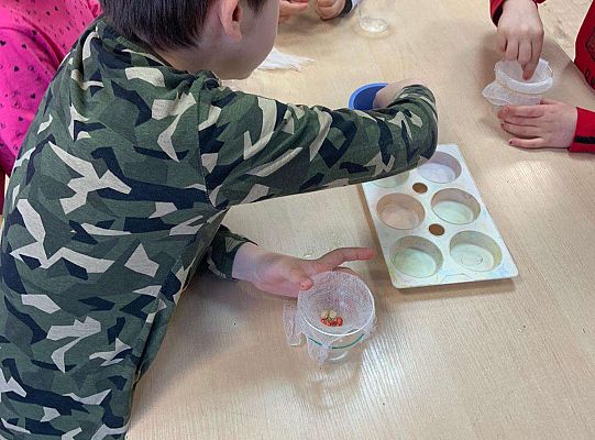 Gr. IV Zabawy badawcze - żywioły: woda, powietrze, ziemia. Poznajemy Ziemię zmysłami.