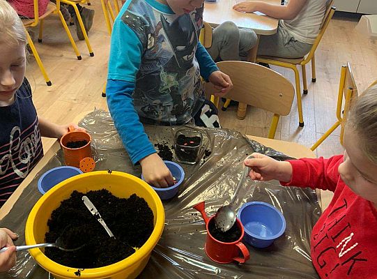 Gr. IV Zabawy badawcze - żywioły: woda, powietrze, ziemia. Poznajemy Ziemię zmysłami.