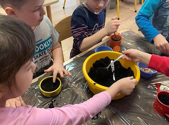 Gr. IV Zabawy badawcze - żywioły: woda, powietrze, ziemia. Poznajemy Ziemię zmysłami.