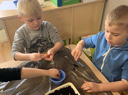 Gr. IV Zabawy badawcze - żywioły: woda, powietrze, ziemia. Poznajemy Ziemię zmysłami.