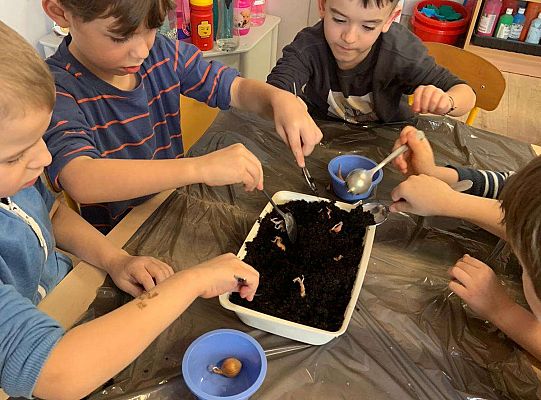 Gr. IV Zabawy badawcze - żywioły: woda, powietrze, ziemia. Poznajemy Ziemię zmysłami.