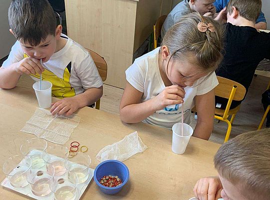 Gr. IV Zabawy badawcze - żywioły: woda, powietrze, ziemia. Poznajemy Ziemię zmysłami.