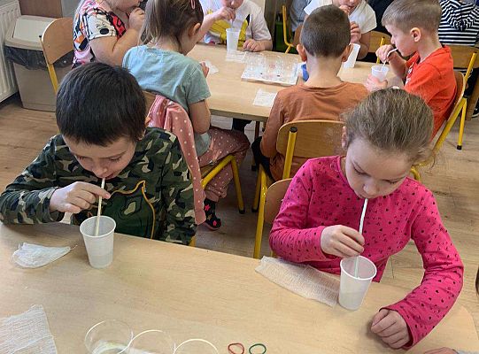 Gr. IV Zabawy badawcze - żywioły: woda, powietrze, ziemia. Poznajemy Ziemię zmysłami.