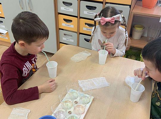 Gr. IV Zabawy badawcze - żywioły: woda, powietrze, ziemia. Poznajemy Ziemię zmysłami.