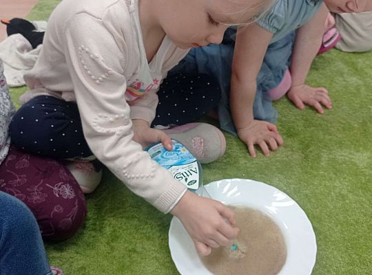 Gr. I Higiena - doświadczenie