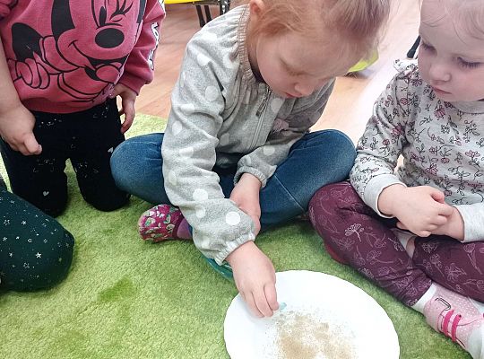 Gr. I Higiena - doświadczenie