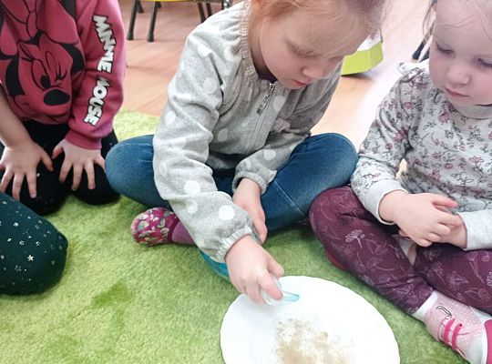 Gr. I Higiena - doświadczenie