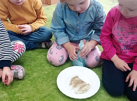 Gr. I Higiena - doświadczenie