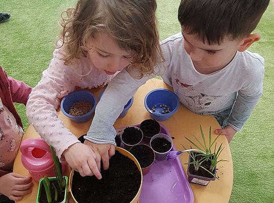 Gr.I "Od nasiona do rośliny"