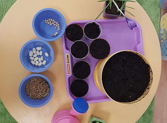 Gr.I "Od nasiona do rośliny"