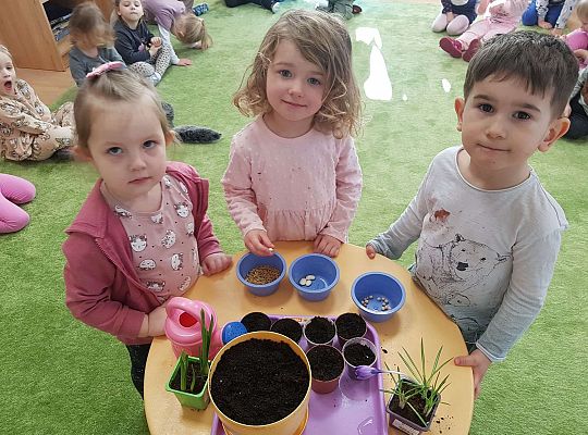 Gr.I "Od nasiona do rośliny"