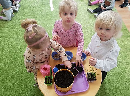 Gr.I "Od nasiona do rośliny"