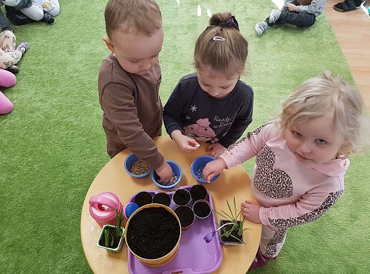 Gr.I "Od nasiona do rośliny"