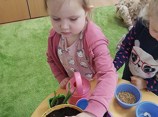 Gr.I "Od nasiona do rośliny"