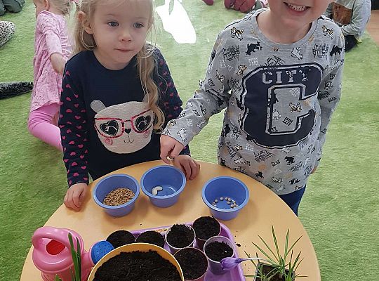 Gr.I "Od nasiona do rośliny"