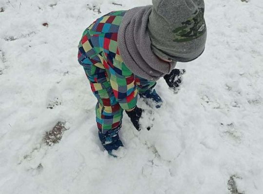 GR.I Moduł II "Zima"