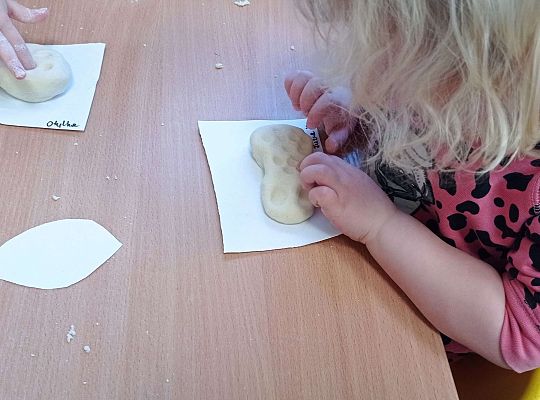 Gr.I Rozmawiamy o zwierzętach egzotycznych