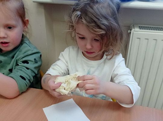 Gr.I Rozmawiamy o zwierzętach egzotycznych