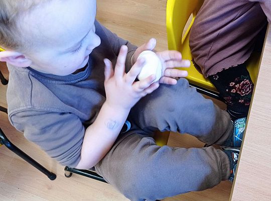 Gr.I Rozmawiamy o zwierzętach egzotycznych