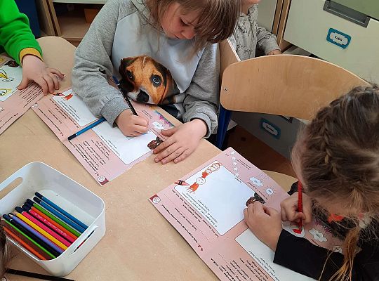 Gr. III "Przyjaciele Zippiego"-Rozpoznawanie dobrych rozwiązań