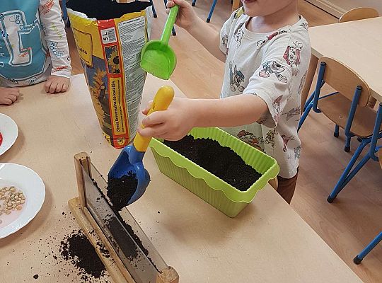 Gr. II Zakładamy wiosenne hodowle