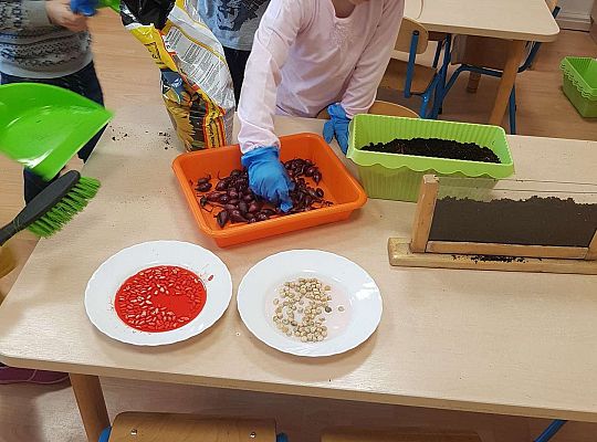 Gr. II Zakładamy wiosenne hodowle