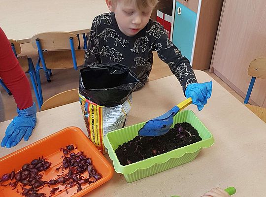 Gr. II Zakładamy wiosenne hodowle