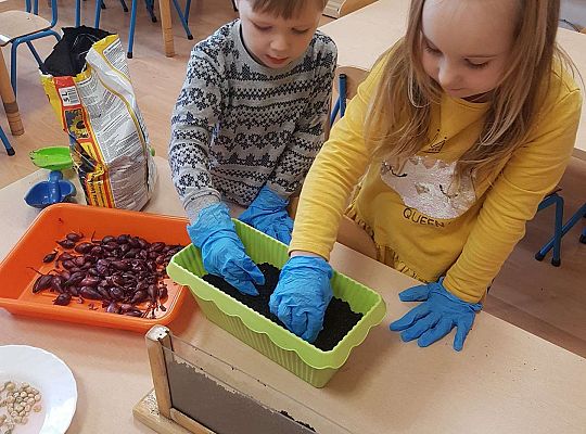 Gr. II Zakładamy wiosenne hodowle