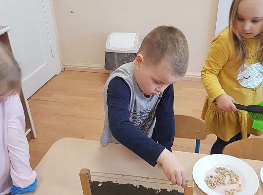 Gr. II Zakładamy wiosenne hodowle