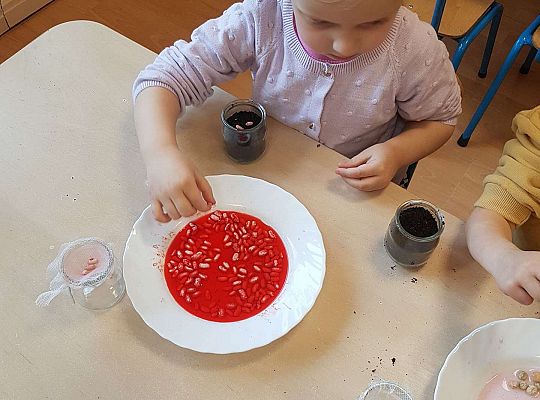 Gr. II Zakładamy wiosenne hodowle