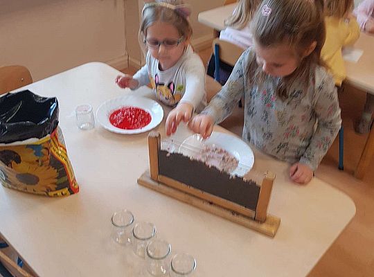 Gr. II Zakładamy wiosenne hodowle