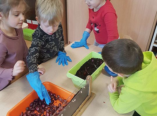 Gr. II Zakładamy wiosenne hodowle