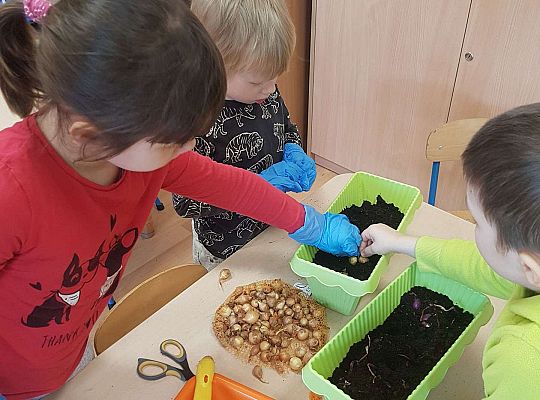 Gr. II Zakładamy wiosenne hodowle